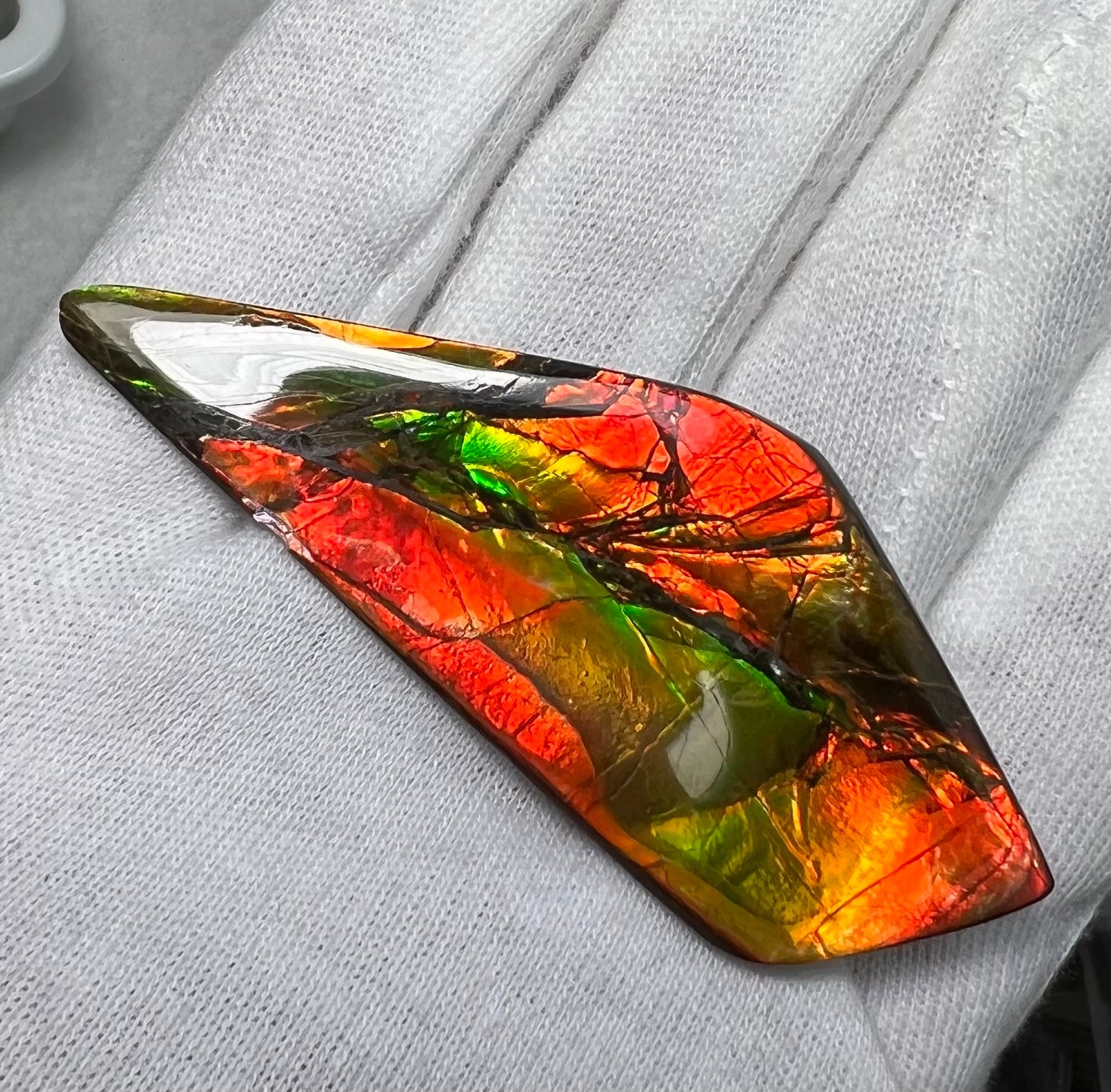 Ammolite Freeforms store