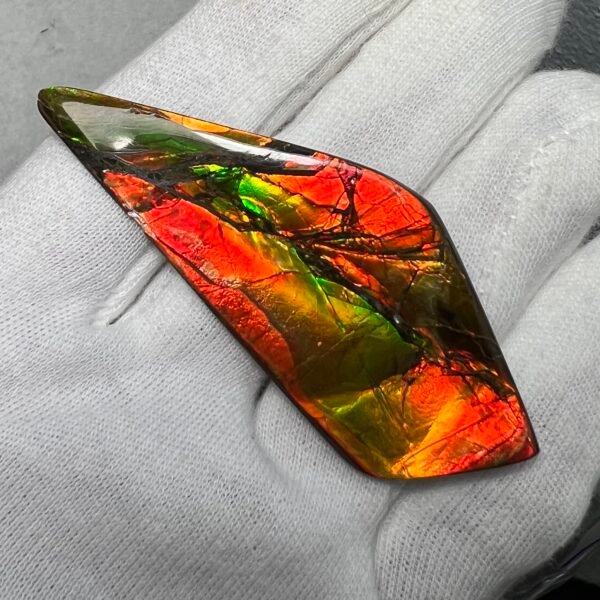 Ammolite